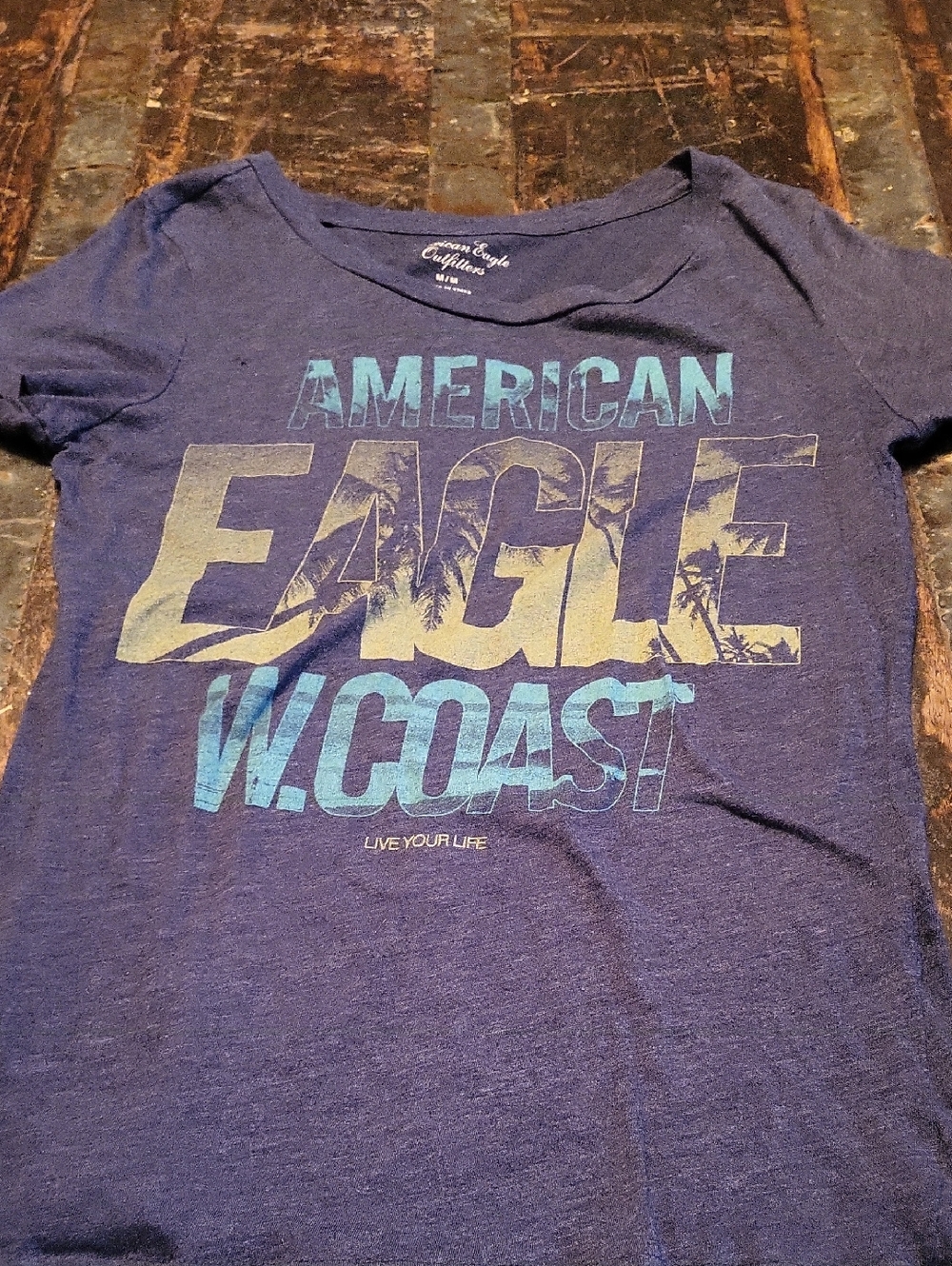 American Eagle Outfitters Blue Tee with White Print